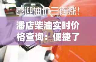 潘店柴油实时价格查询:便捷了解油价的利器