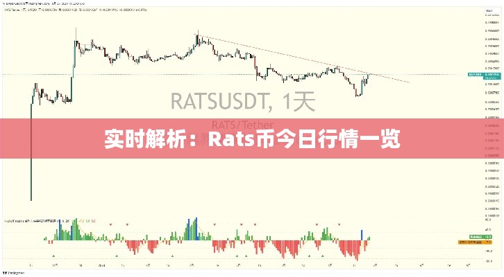 实时解析:Rats币今日行情一览