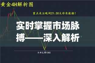 实时掌握市场脉搏——深入解析DJ30实时行情