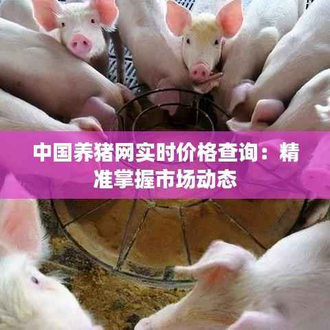 中国养猪网实时价格查询:精准掌握市场动态