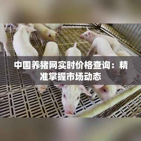 中国养猪网实时价格查询:精准掌握市场动态