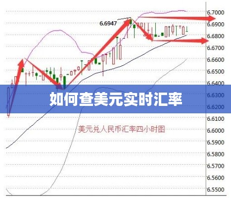 如何查美元实时汇率