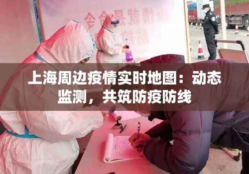 上海周边疫情实时地图:动态监测,共筑防疫防线