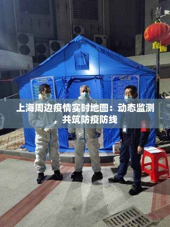 上海周边疫情实时地图:动态监测,共筑防疫防线