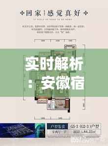 实时解析：安徽宿州猪价动态，市场行情一览无余