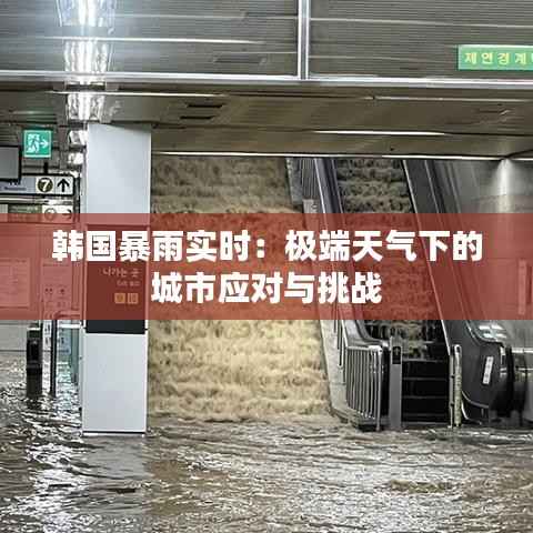 韩国暴雨实时:极端天气下的城市应对与挑战