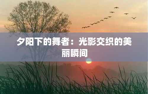夕阳下的舞者:光影交织的美丽瞬间