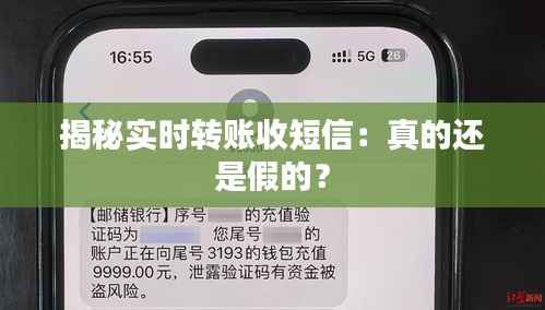 揭秘实时转账收短信:真的还是假的?
