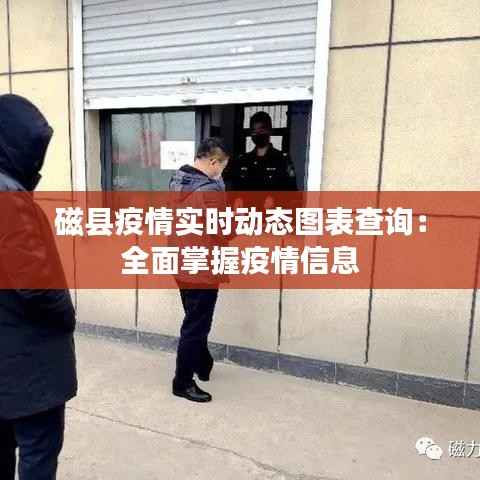 磁县疫情实时动态图表查询:全面掌握疫情信息