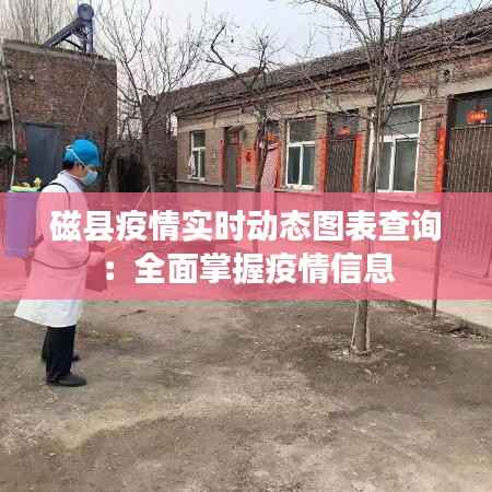 磁县疫情实时动态图表查询:全面掌握疫情信息