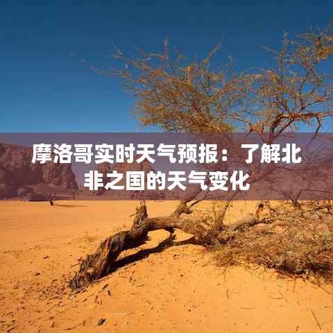 映月读书 第5页