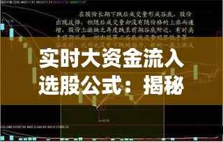实时大资金流入选股公式:揭秘股市中的“隐形富豪”