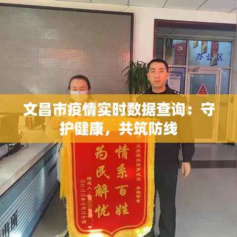 文昌市疫情实时数据查询：守护健康，共筑防线