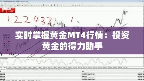 实时掌握黄金MT4行情:投资黄金的得力助手