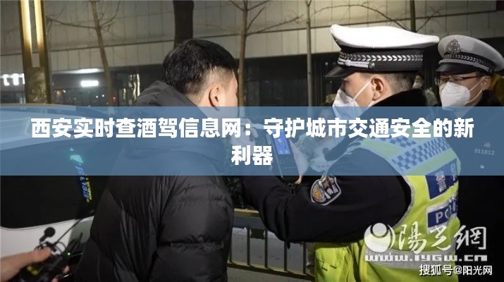 西安实时查酒驾信息网：守护城市交通安全的新利器