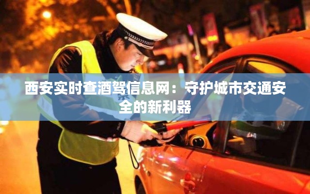 西安实时查酒驾信息网:守护城市交通安全的新利器