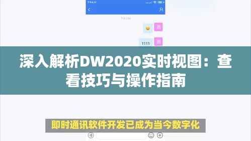 深入解析DW2020实时视图:查看技巧与操作指南