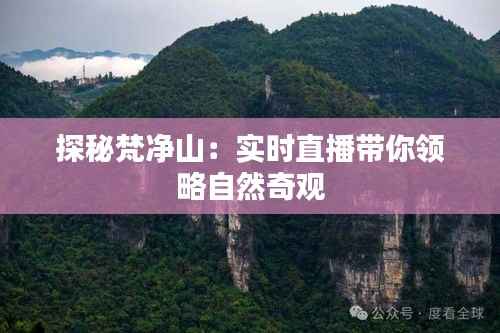 探秘梵净山：实时直播带你领略自然奇观