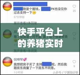 快手平台上的养猪实时视频：科技与生活的完美融合