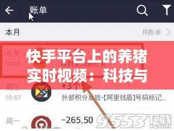 快手平台上的养猪实时视频:科技与生活的完美融合