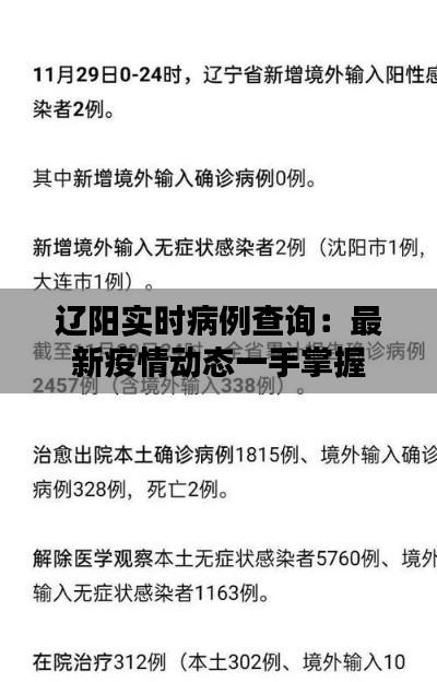 辽阳实时病例查询:最新疫情动态一手掌握