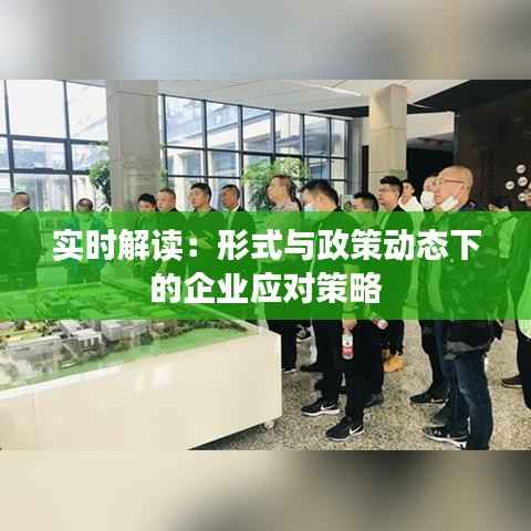 实时解读:形式与政策动态下的企业应对策略