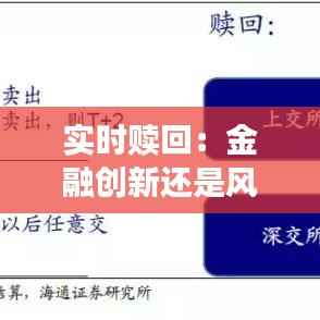 实时赎回：金融创新还是风险隐患？