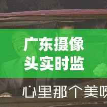 广东摄像头实时监控:守护城市安全的新时代利器