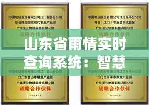 山东省雨情实时查询系统:智慧农业的守护神
