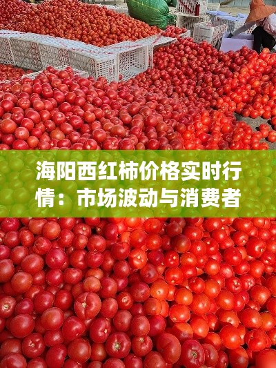 海阳西红柿价格实时行情：市场波动与消费者洞察