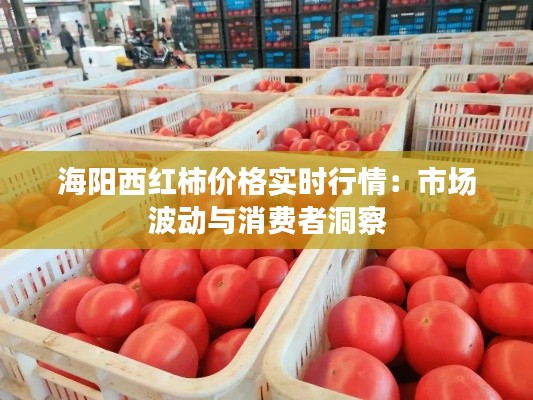 海阳西红柿价格实时行情:市场波动与消费者洞察