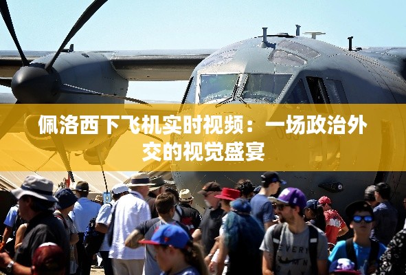 佩洛西下飞机实时视频：一场政治外交的视觉盛宴