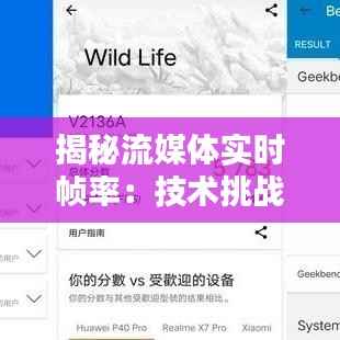 揭秘流媒体实时帧率:技术挑战与优化策略