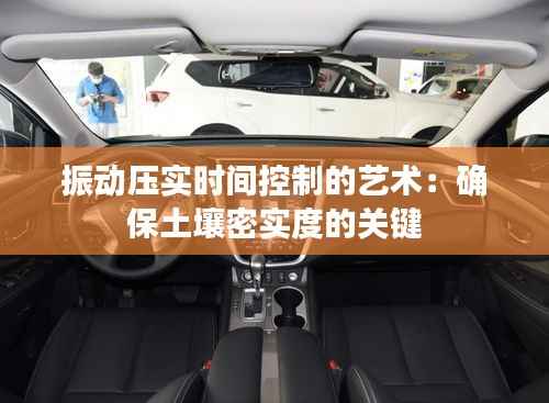 百不获一 第5页