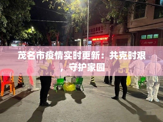 茂名市疫情实时更新：共克时艰，守护家园