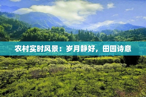 农村实时风景：岁月静好，田园诗意