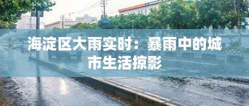 海淀区大雨实时：暴雨中的城市生活掠影