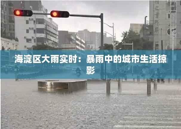 海淀区大雨实时:暴雨中的城市生活掠影