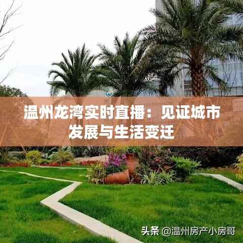 温州龙湾实时直播:见证城市发展与生活变迁