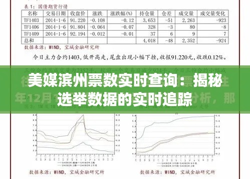 美媒滨州票数实时查询:揭秘选举数据的实时追踪