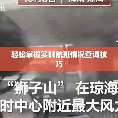 轻松掌握实时航班情况查询技巧