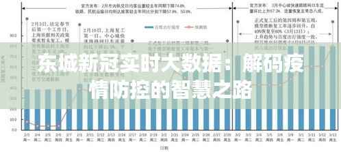 东城新冠实时大数据：解码疫情防控的智慧之路