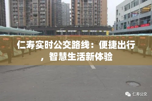 仁寿实时公交路线:便捷出行,智慧生活新体验