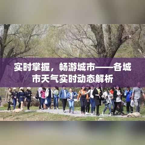 实时掌握,畅游城市——各城市天气实时动态解析