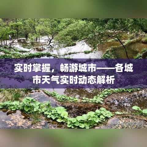 实时掌握,畅游城市——各城市天气实时动态解析