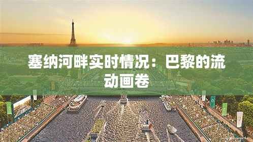 塞纳河畔实时情况：巴黎的流动画卷