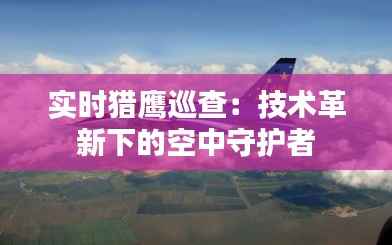 实时猎鹰巡查:技术革新下的空中守护者