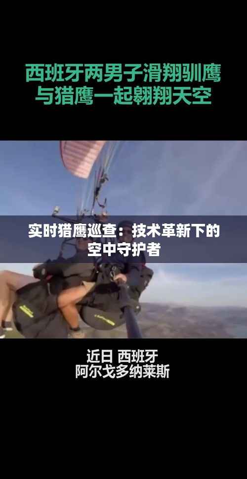 实时猎鹰巡查:技术革新下的空中守护者