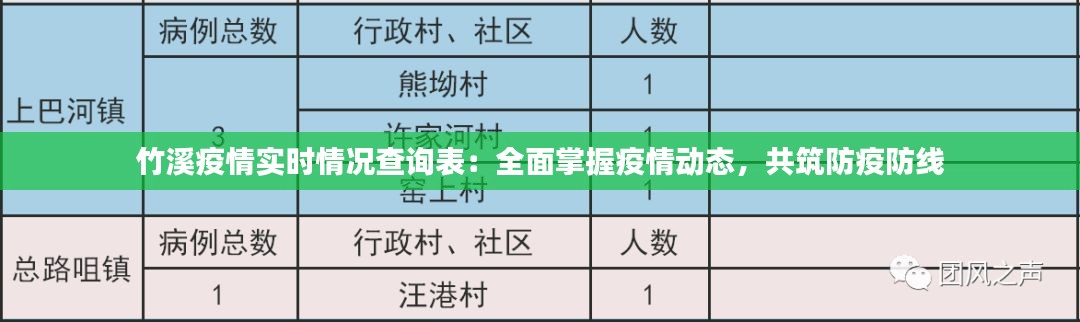 竹溪疫情实时情况查询表：全面掌握疫情动态，共筑防疫防线