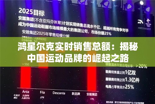 鸿星尔克实时销售总额:揭秘中国运动品牌的崛起之路